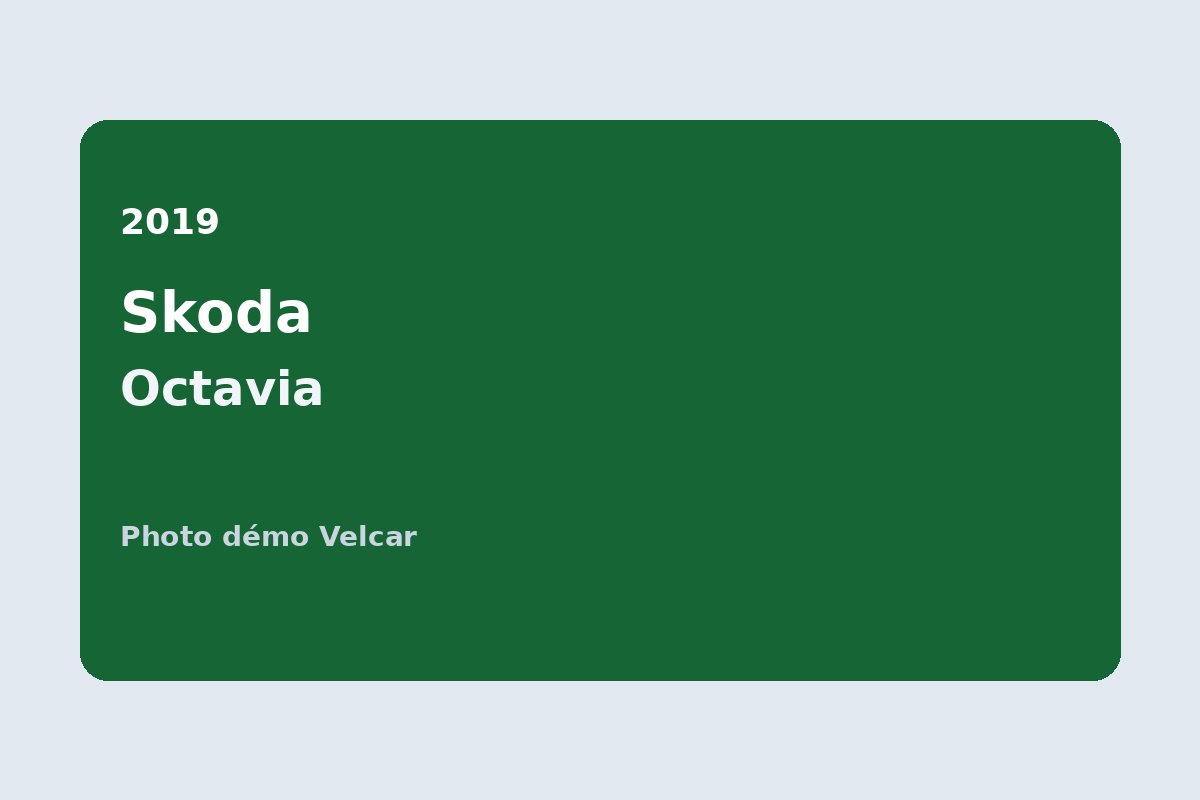 2019 Skoda Octavia